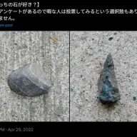 「どちらの石が好きか」をXで投票