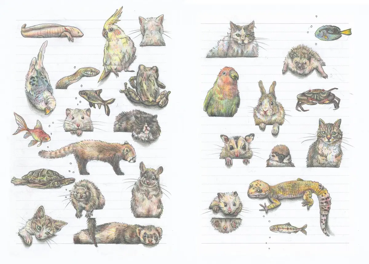 罫線の間をくぐったり尻尾を覗かせたり遊び心のあるポージングが魅力的／ワニブックス提供※画像はイメージです