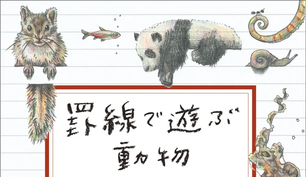 動物を描く アート界の第一線で動物デッサンの指導にあたる動物画のプロが、本当に