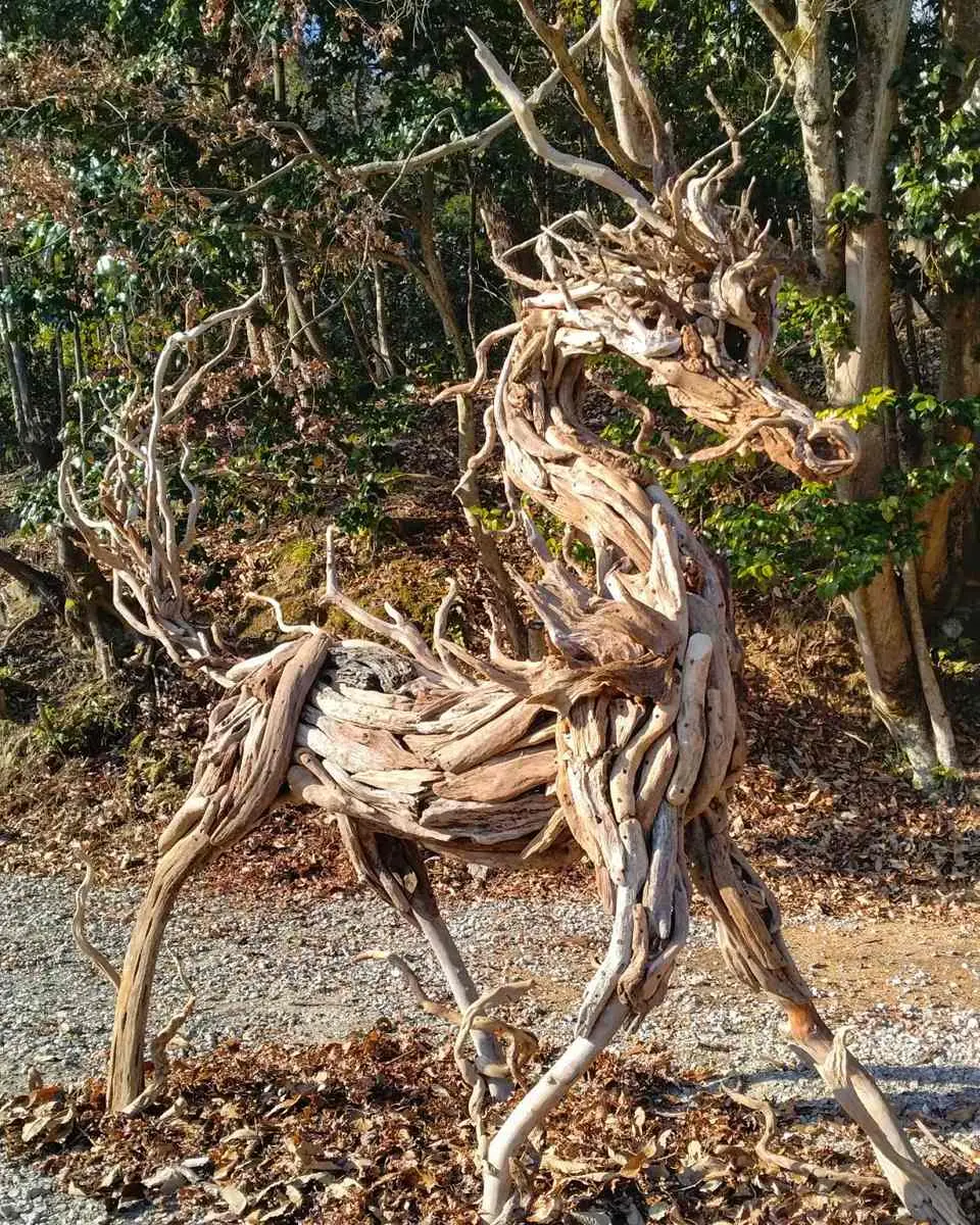 流木生物「麒麟」