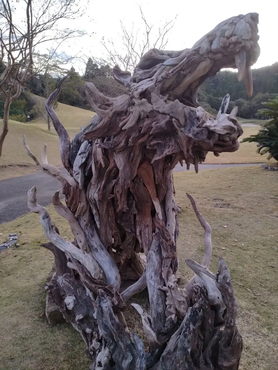 流木生物「白虎」