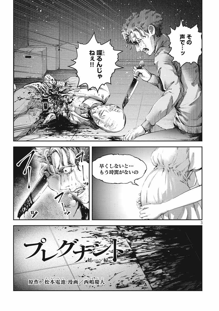 『プレグナント』（松本 電池（原作）／西嶋 慶大（漫画））