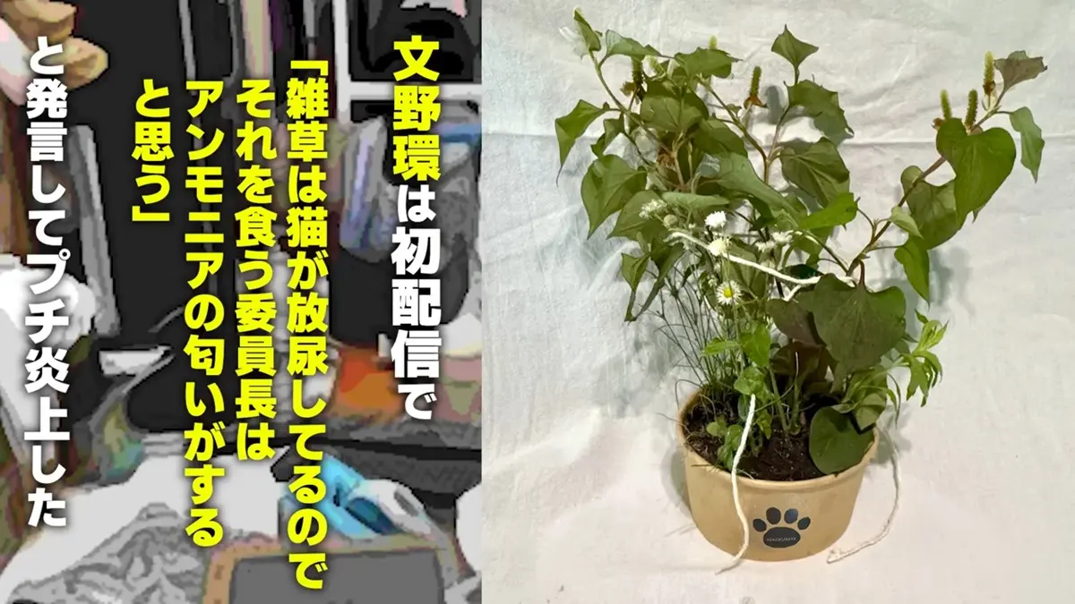 月ノ美兎さんと文野環さんにとってはいわくつきらしい