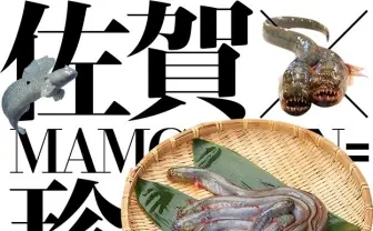 佐賀県にまた異変……グロテスクな珍魚が並ぶティザーサイト公開