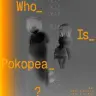 「Who_Is_Pokopea_?展」メインビジュアル