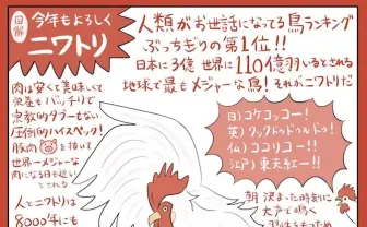2017年の干支ニワトリを図解したイラストが話題　知られざるその魅力