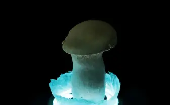 バトルオーラを生み出す卓上ライト　デスクが神秘的な戦いの舞台に