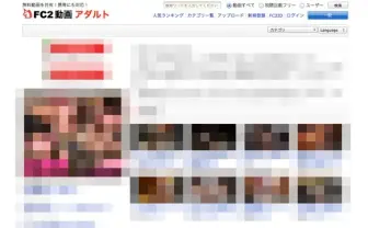 FC2へのAV違法アップロードで書類送検 AVの著作権法違反では初の事例