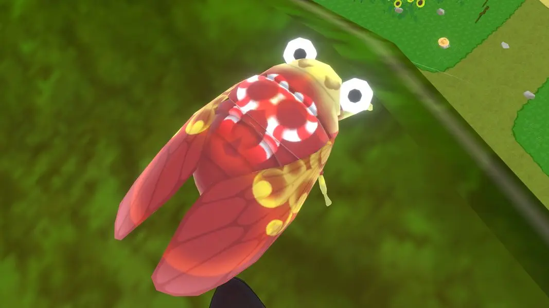 主催・サブ太郎さんのセミ