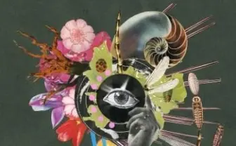 映像の一部はロトスコープ 「惡の華」OPテーマのミュージックビデオ公開