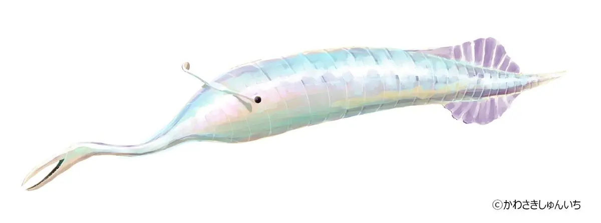 タリーモンスター