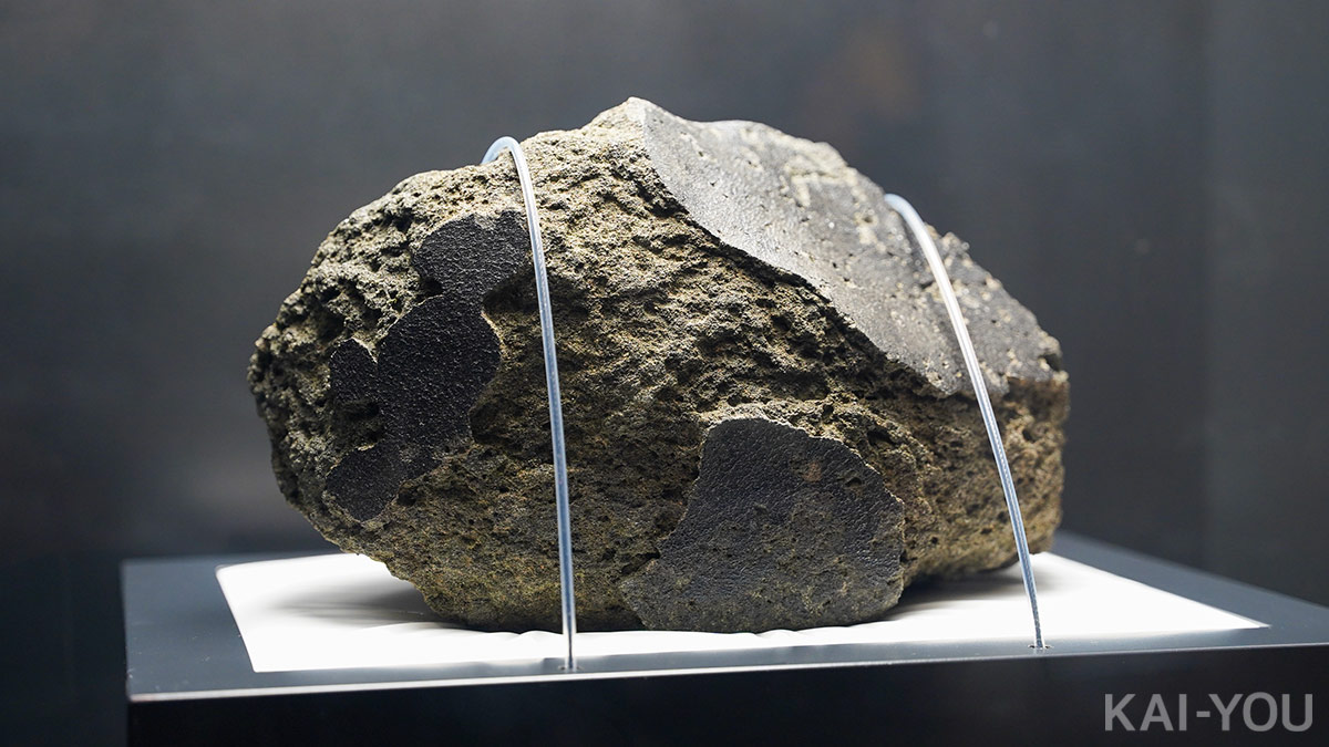 これが火星の石！