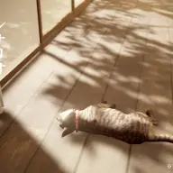 『まだ猫は逃げますか？』スクリーンショット