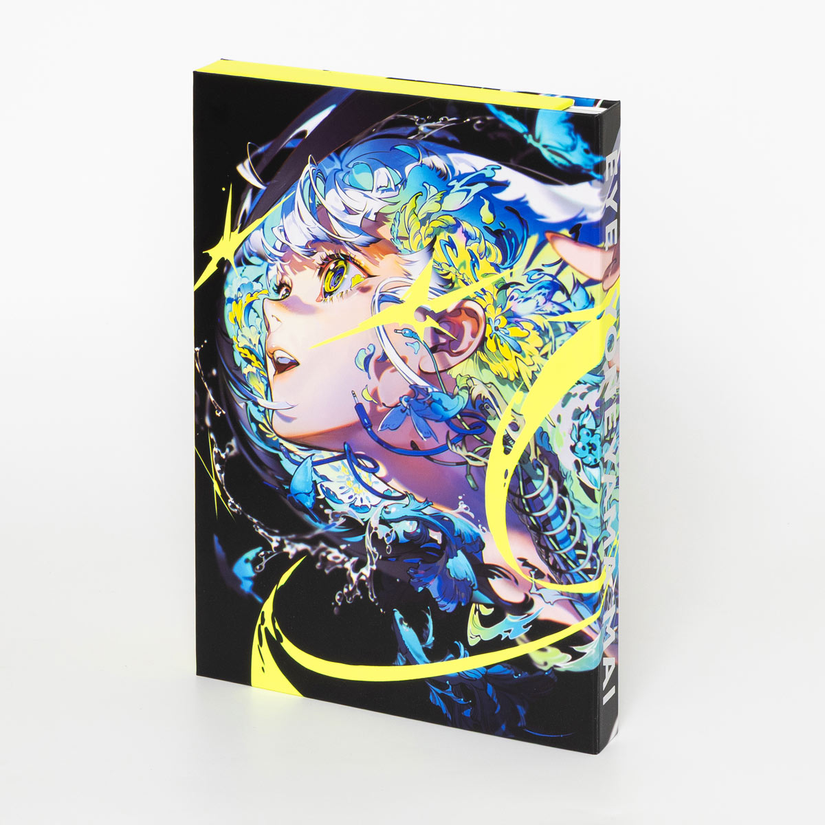 『EYE YONEYAMA MAI 米山舞 作品集』特装スリーブ版