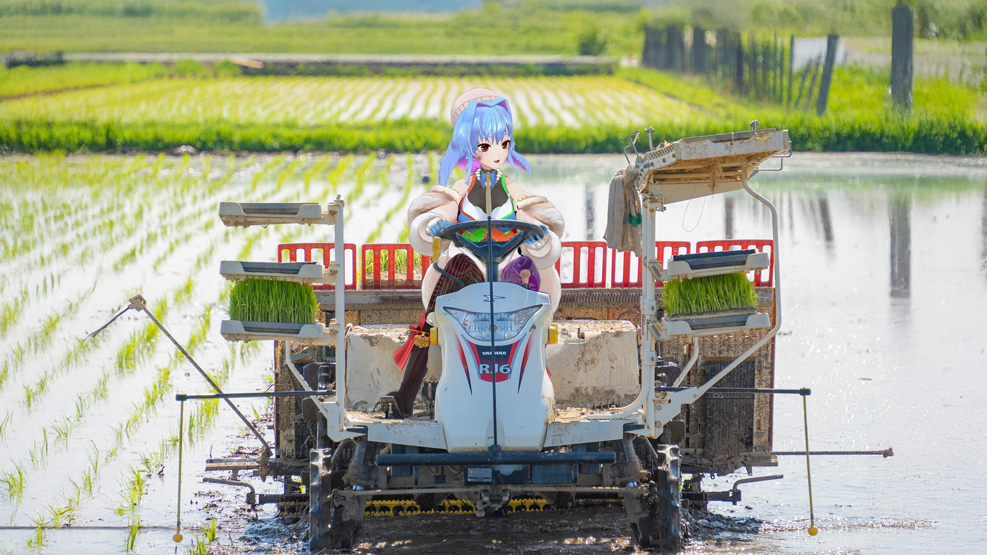 [Vtub] 農業VTuber Peaky Hikers 販賣豐收的新米