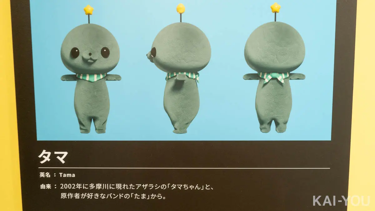 タマの名前の由来が明らかに