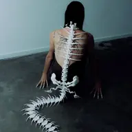 「Biomechanical Siren Skeleton」