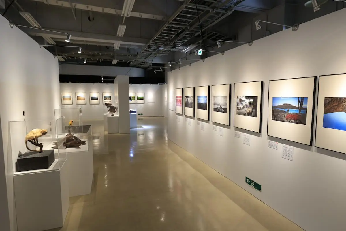 福山雅治さんが世界各地のホットスポットで撮影した写真などを展示したエリア
