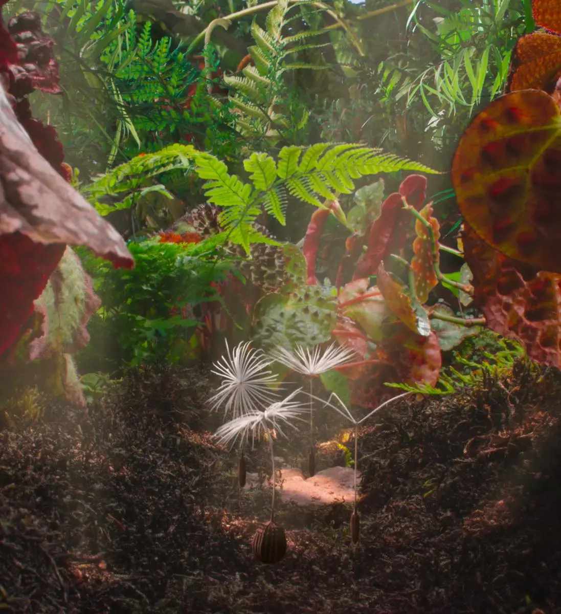 ダンデライオンズ・オデッセイ（英題：Dandelion