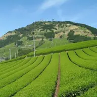 静岡県掛川市[1]