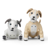 aibo