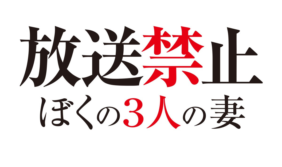 『放送禁止 ぼくの3人の妻』ロゴ