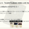 カジュアル大会カジュアル大会「KAMITSUBAKI MINI LIVE MATCH」概要