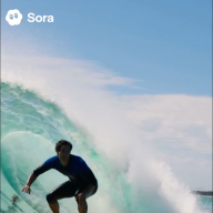 人間とサーフィンするスティッチ