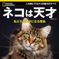 『ナショナル ジオグラフィック 別冊』最新刊「ネコは天才 私たちが夢中になる理由」／画像は<a href="https://amazon.co.jp/o/ASIN/4863136692/kaiyou01-22/ref=nosim" target="_blank">Amazon</a>より