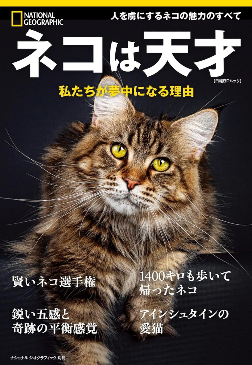 画像5: 『ナショジオ別冊』でネコを大特集　ヒトとの歴史を知り、より良い共生の道を探る