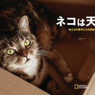 「ネコは天才 私たちが夢中になる理由」サンプルページ