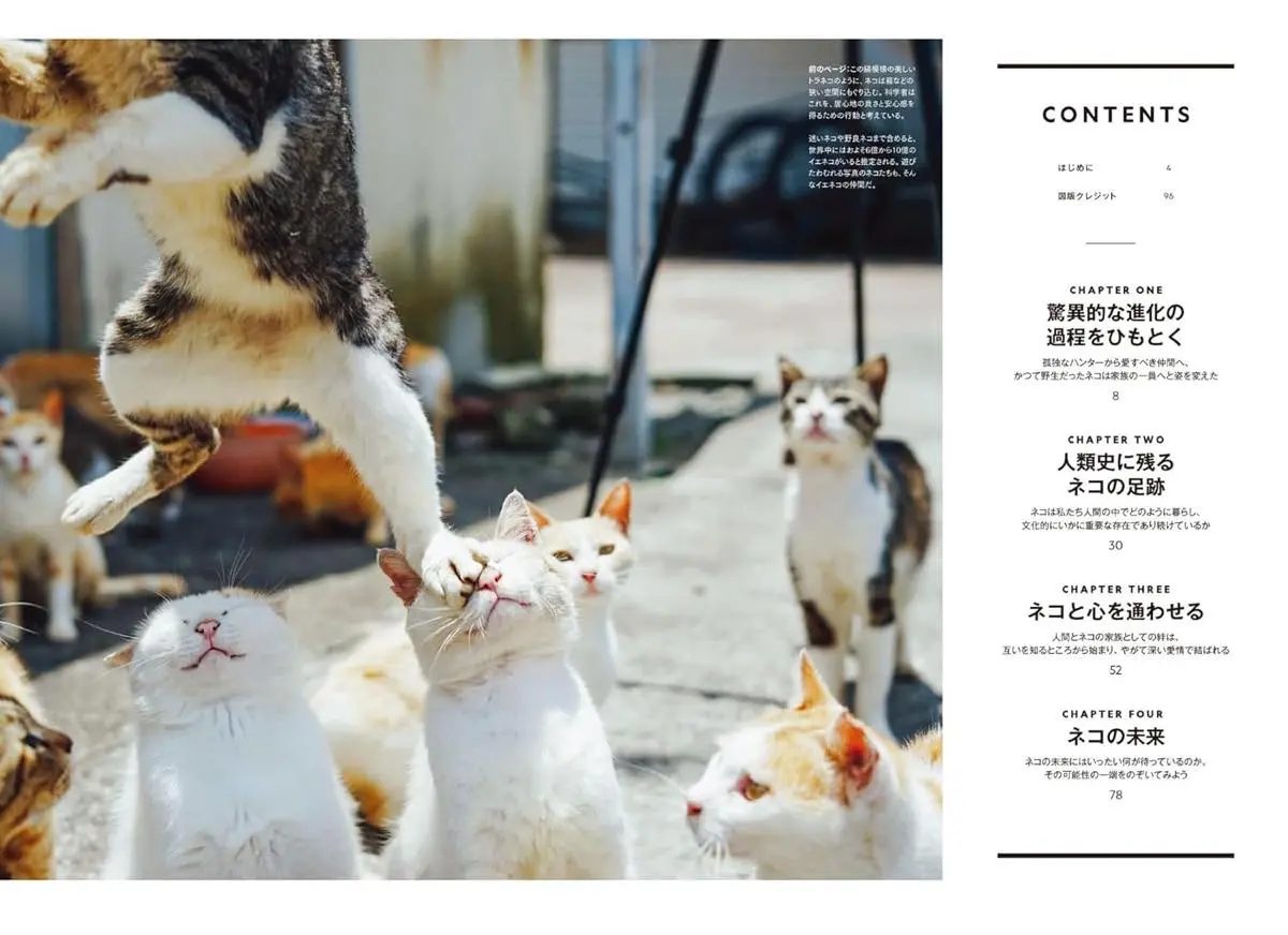 「ネコは天才 私たちが夢中になる理由」サンプルページ／画像は公式サイトより