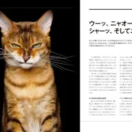 「ネコは天才 私たちが夢中になる理由」サンプルページ／画像は公式サイトより