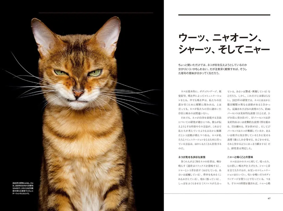 「ネコは天才 私たちが夢中になる理由」サンプルページ／画像は公式サイトより