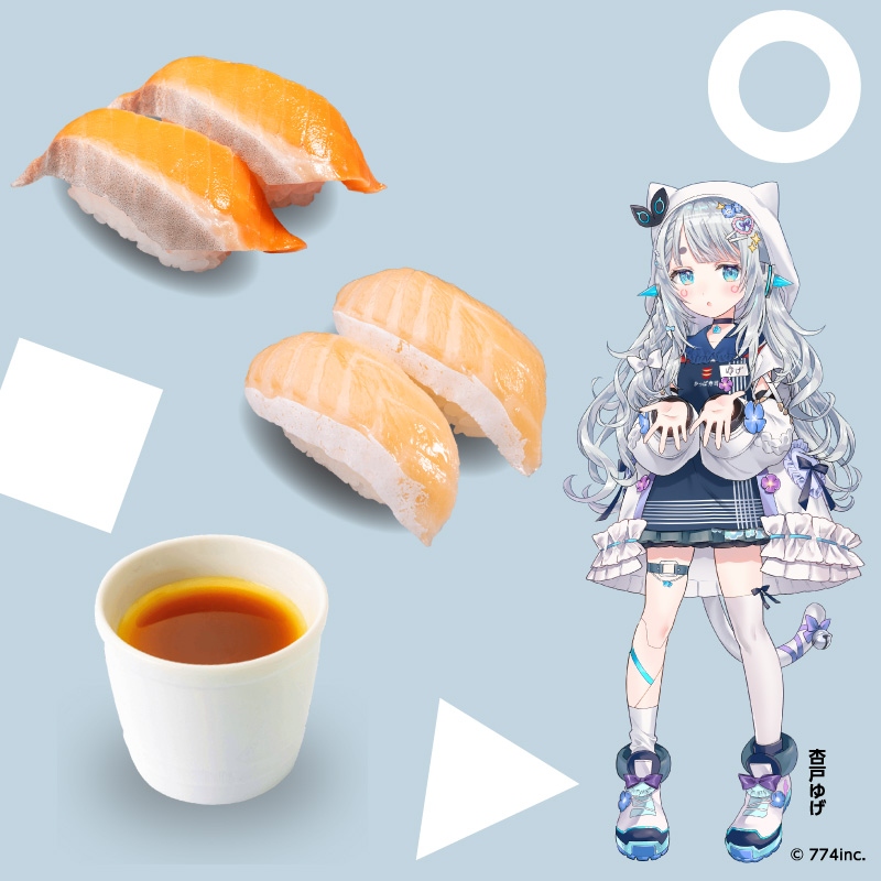 杏戸ゆげさんの推しネタセット ・サーモン・とろサーモン・プレミアムプリン