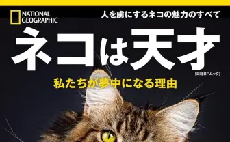 『ナショジオ別冊』でネコを大特集　ヒトとの歴史を知り、より良い共生の道を探る
