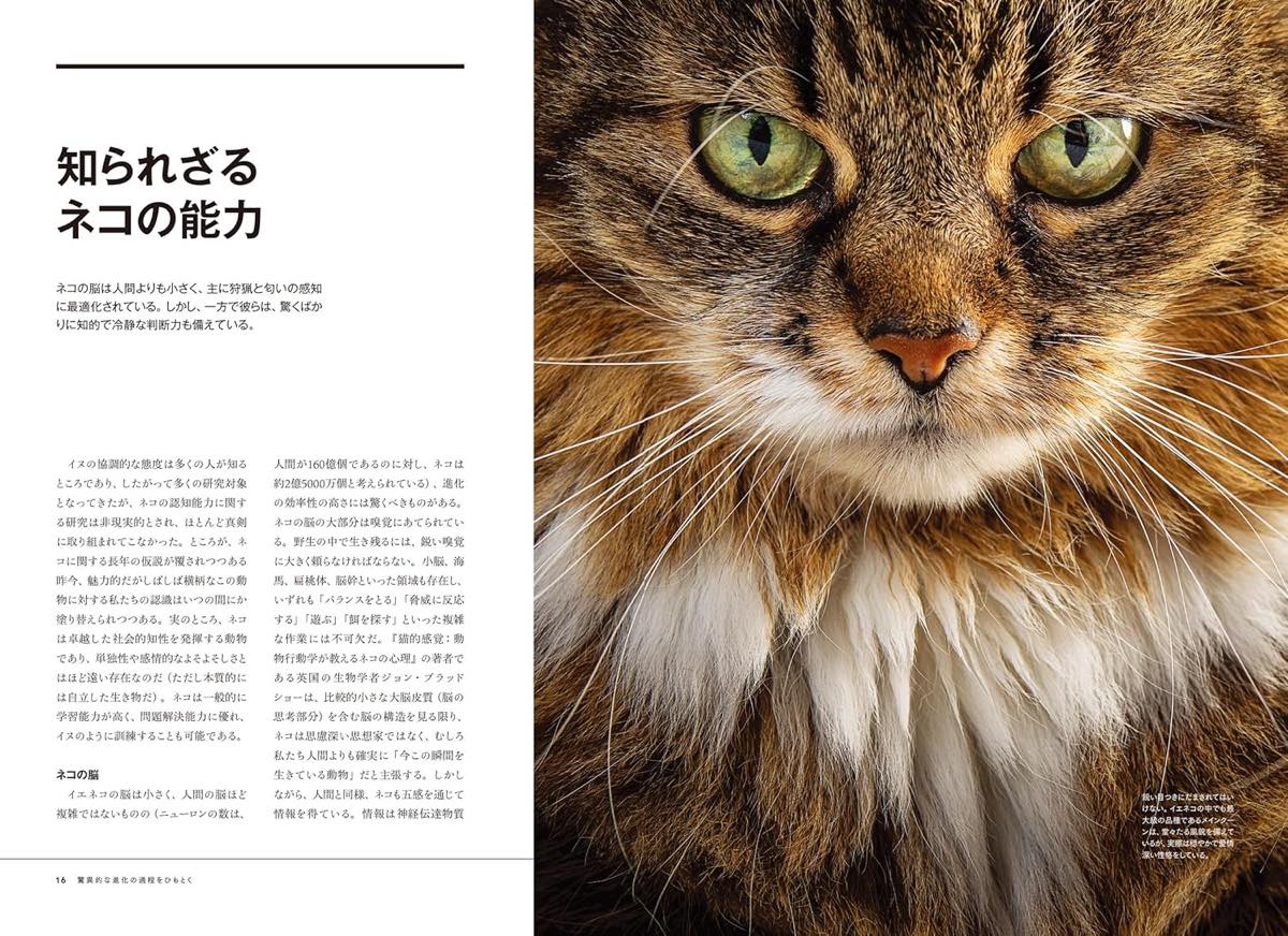 「ネコは天才 私たちが夢中になる理由」サンプルページ