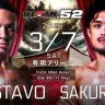 第11試合：ルイス・グスタボ vs. 桜庭大世