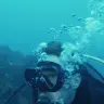ダイビングをするベネディクト・カンバーバッチさん