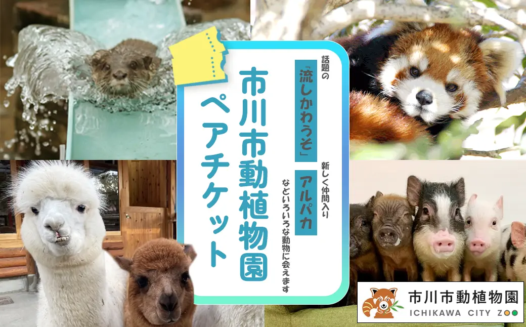 ふるさと納税「市川市動植物園ペアチケット」