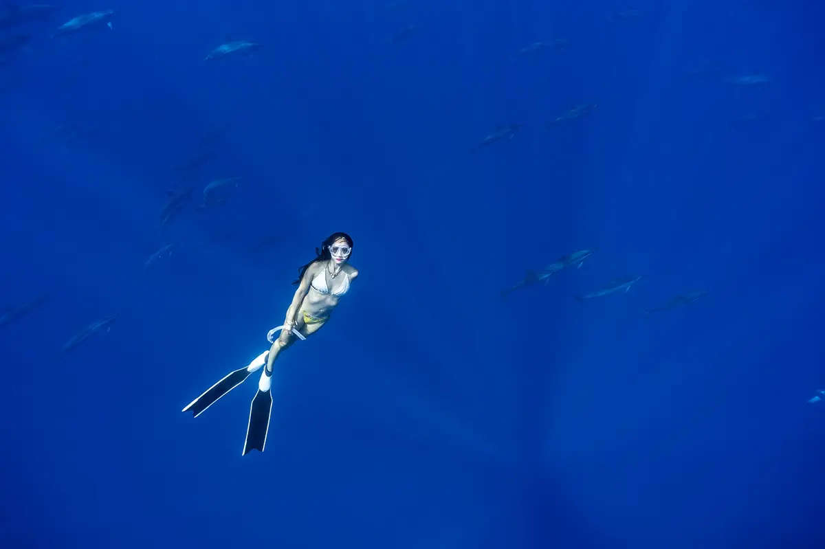ダイビングを披露する沢尻エリカさん
