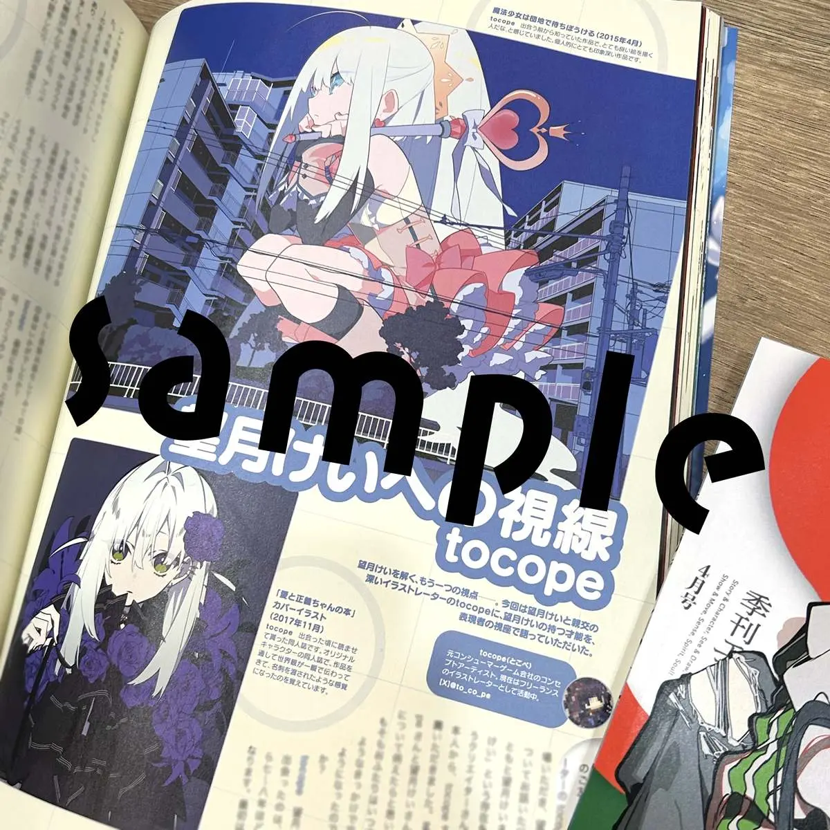 寄稿：望月けいへの視線 tocope