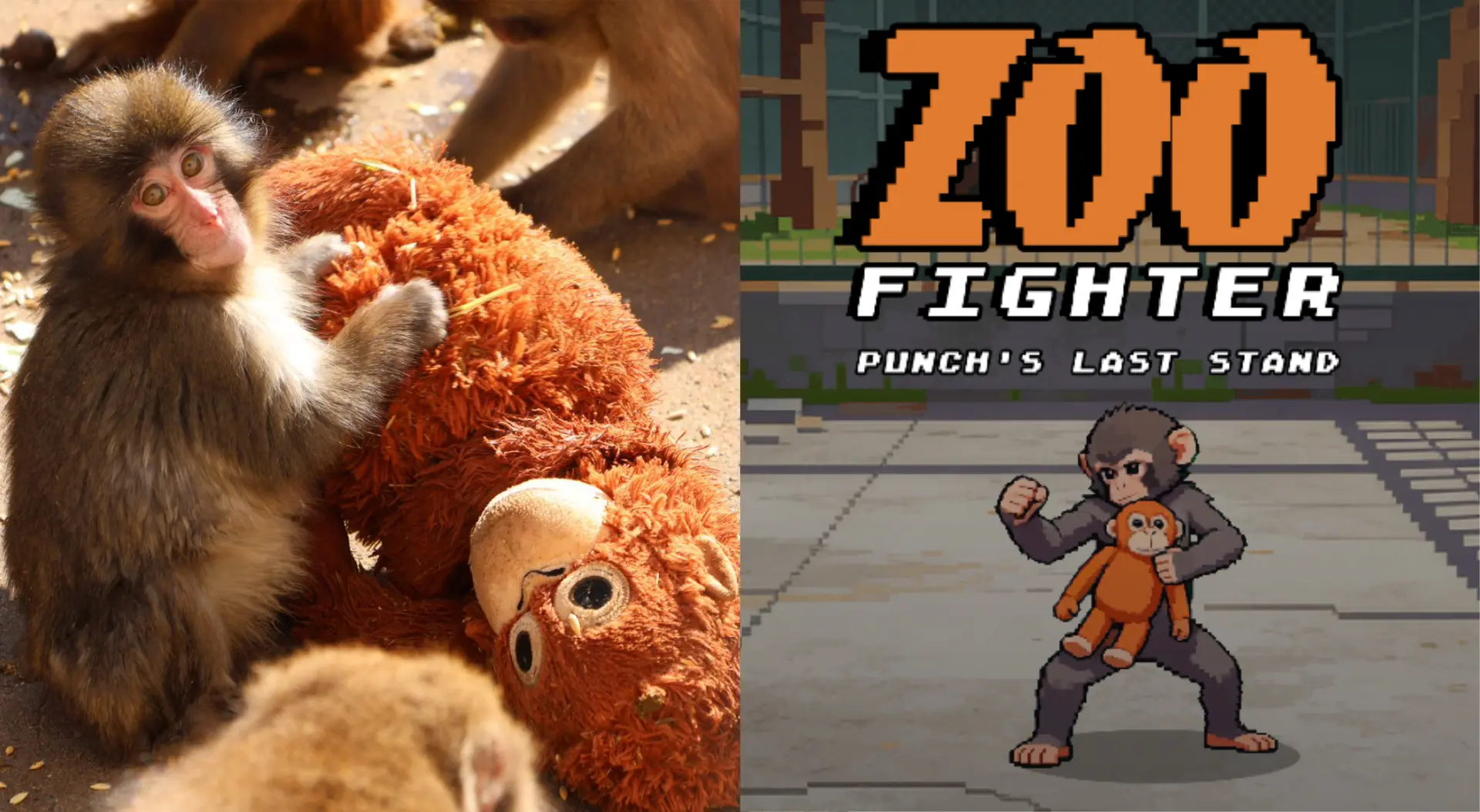 市川市動植物園の子ザル「パンチくん」のアクションゲーム登場　動物保護区の重要性を訴える