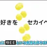 「HIKAKIN PREMIUM」は「BEE」へと名を改め、会社も設立