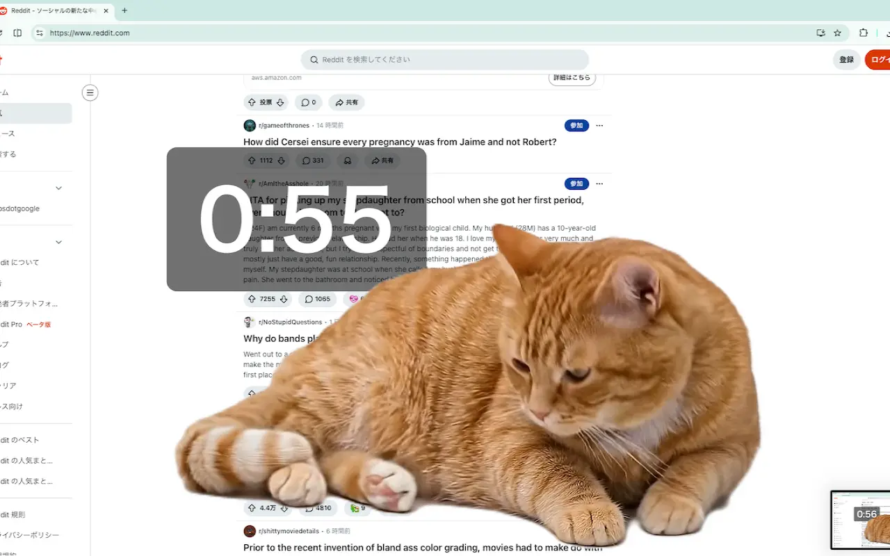 「Cat Gatekeeper」使用中