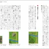 第５章『ゼビウス』より、「隠れキャラクター」の誕生