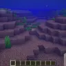海底の様子