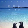 画像3: すみだ水族館、マゼランペンギンの赤ちゃん「とうふ」が誕生