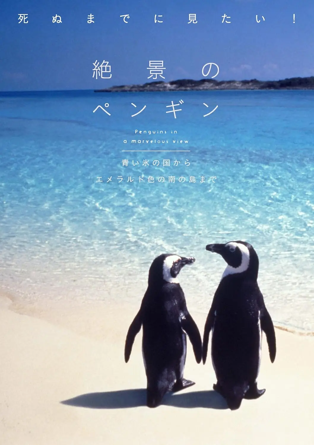 画像3: すみだ水族館、マゼランペンギンの赤ちゃん「とうふ」が誕生