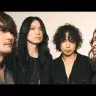 The Novembers